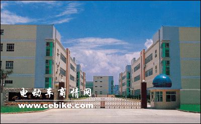 瑞达公司：混沌市场中的清亮利剑