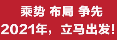 2020总结：横刀立马 乘风破浪